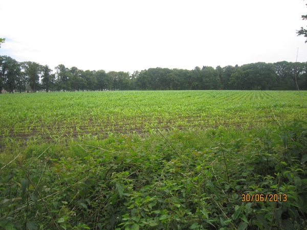 Schoten 30-06-2013 022