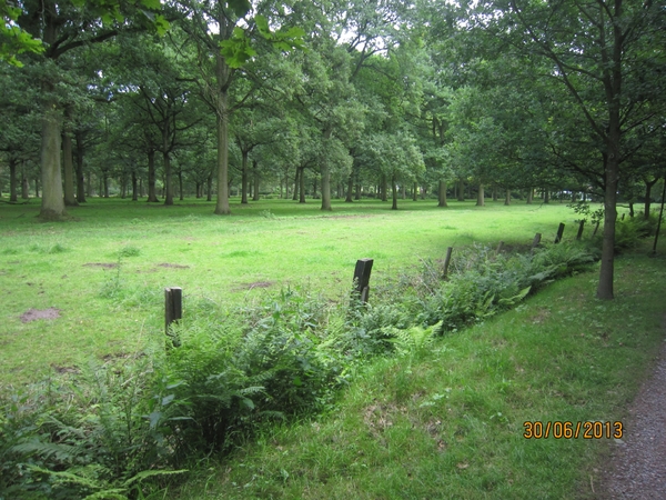 Schoten 30-06-2013 030