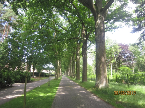 Schoten 30-06-2013 039