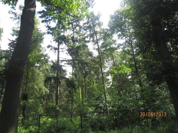 Schoten 30-06-2013 040