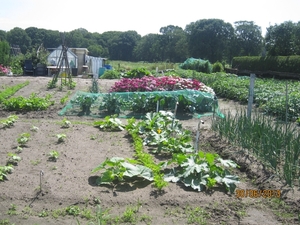 Schoten 30-06-2013 049