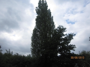 Schoten 30-06-2013 066