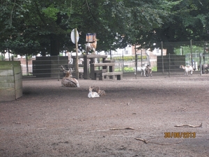 Schoten 30-06-2013 093