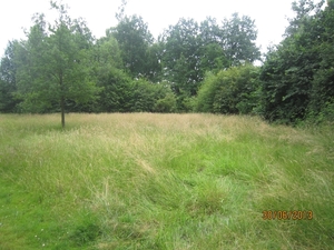 Schoten 30-06-2013 096