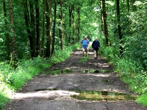 via