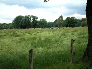 St Martensheide