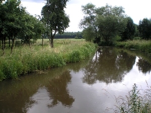 naar de