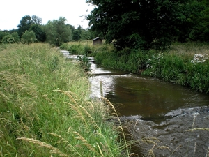aan de vistrap