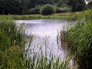en deze ook maar met reiger