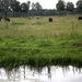 en meer