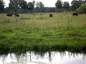en meer
