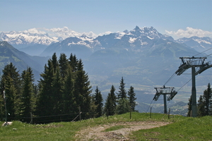 IMG_3037