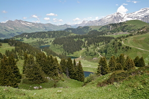 IMG_3050