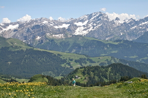 IMG_3056