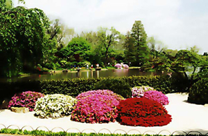 0-               azalea_garden_012