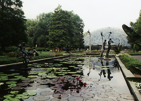 0-            waterlilypond_mobot