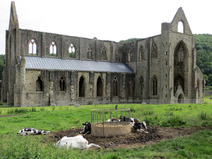 tintern  (wales)