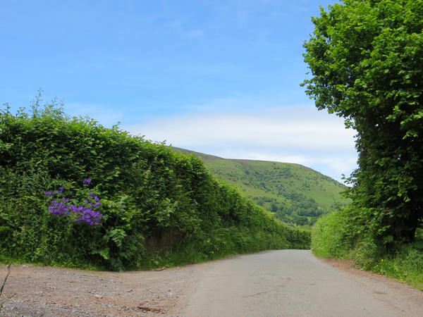 black mountains (wales)
