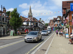 the new forest (lyndhurst)