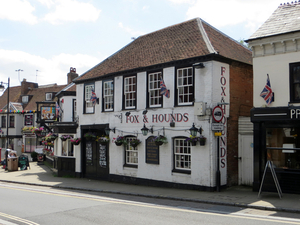 the new forest (lyndhurst)