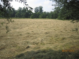 nog rivierenhof