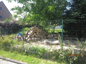wandeling in Brecht 7-7-2013 008
