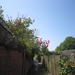 wandeling in Brecht 7-7-2013 009