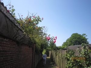 wandeling in Brecht 7-7-2013 009