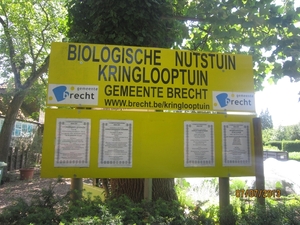 wandeling in Brecht 7-7-2013 025