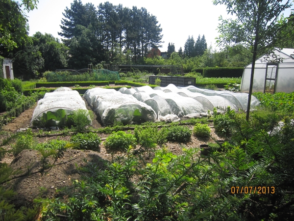 wandeling in Brecht 7-7-2013 026