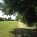 wandeling in Brecht 7-7-2013 031