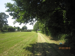 wandeling in Brecht 7-7-2013 031