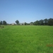wandeling in Brecht 7-7-2013 032