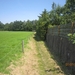 wandeling in Brecht 7-7-2013 033