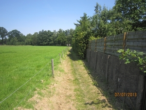 wandeling in Brecht 7-7-2013 033