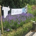 wandeling in Brecht 7-7-2013 037
