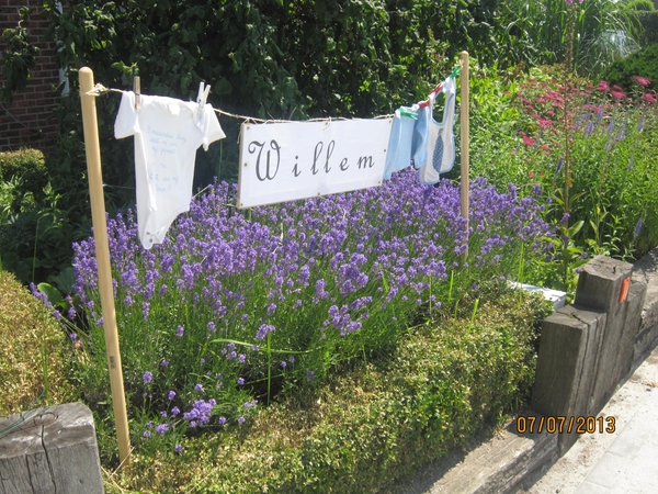 wandeling in Brecht 7-7-2013 037
