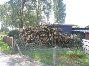 wandeling in Brecht 7-7-2013 040