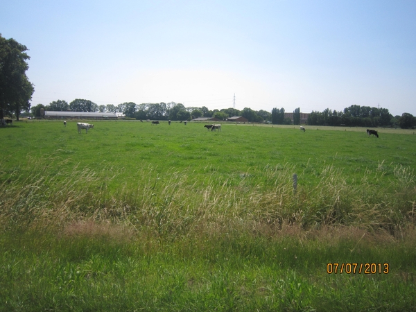 wandeling in Brecht 7-7-2013 049