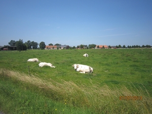 wandeling in Brecht 7-7-2013 051