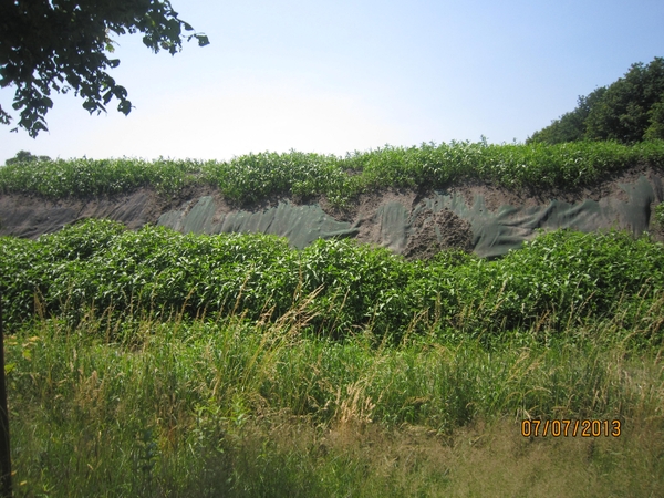 wandeling in Brecht 7-7-2013 062