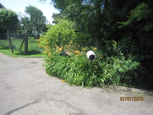 wandeling in Brecht 7-7-2013 068