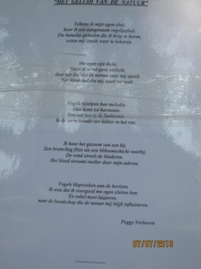 wandeling in Brecht 7-7-2013 073