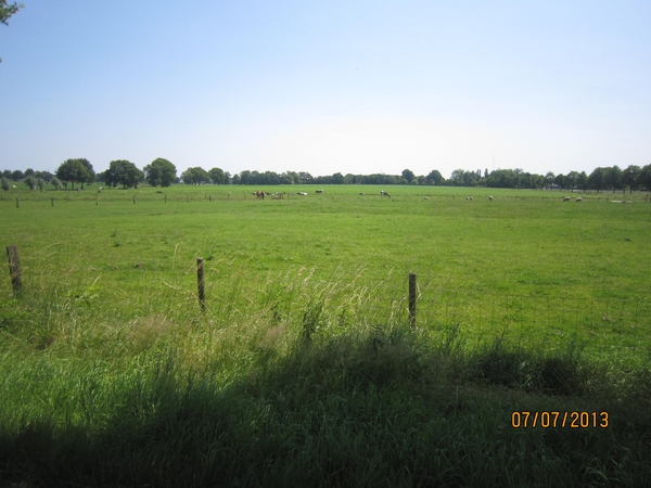 wandeling in Brecht 7-7-2013 074