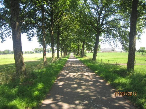 wandeling in Brecht 7-7-2013 075