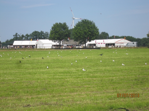 wandeling in Brecht 7-7-2013 078