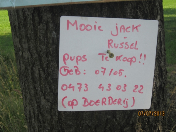 wandeling in Brecht 7-7-2013 080