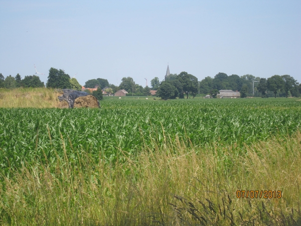 wandeling in Brecht 7-7-2013 081