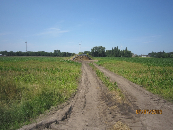 wandeling in Brecht 7-7-2013 082