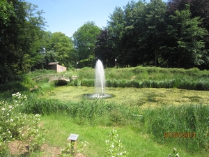 wandeling in Brecht 7-7-2013 092